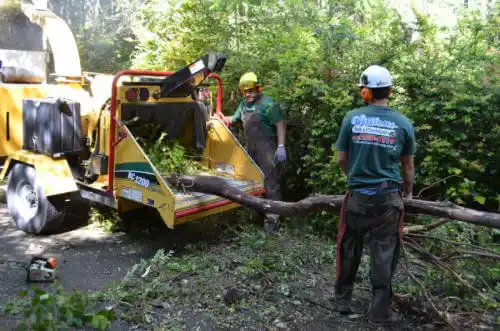 tree services Chipley